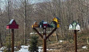 Bayramda kapınız doğaya açılsın