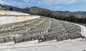 Büyükşehir 70 futbol sahası büyüklüğünde alan açtı