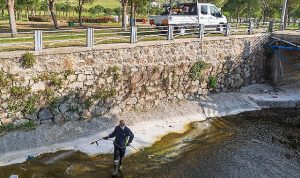 “Mevsimsel sinekler zararsız”