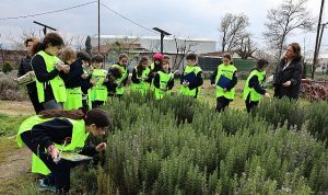 Ürünlü’de doğa sevgisi yeşeriyor